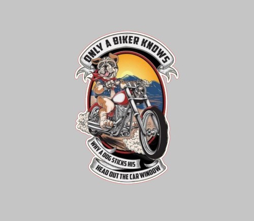 Dog biker classic bike - dog,