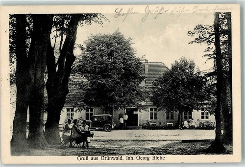 13260687 8022 gruenwald - 13260687,